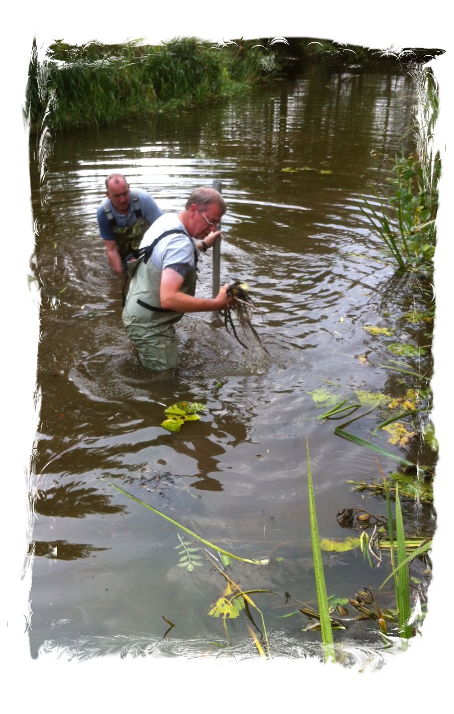 Work Party at tetley angling